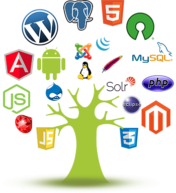 Web App Development